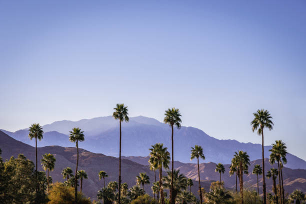 istock Palm Springs Scenic San Jacinto Mountain Landscape 1091530200