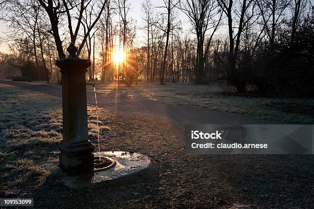 Metropark 아침에 몬차 컬러 이미지 0명에 대한 스톡 사진 및 기타 이미지 - 0명, 12월, 갈색