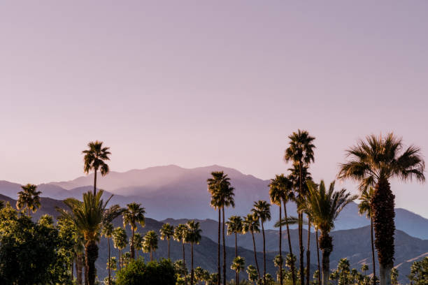 istock Palm Springs Scenic San Jacinto Mountain Landscape 1091531844