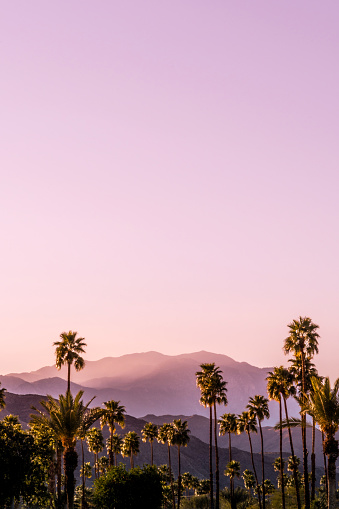 Palm Springs Scenic Mountain Landscape taken within Palm Springs city limit.