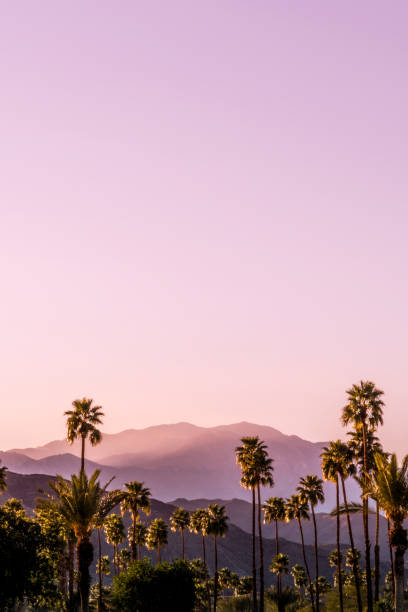 palm springs malownicze krajobrazy san jacinto - multi colored sunset north america usa zdjęcia i obrazy z banku zdjęć