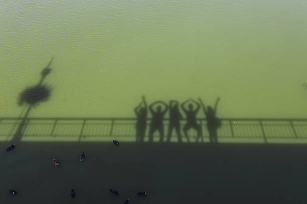 istock Group of people make shadows figures on water surface. 1091534332