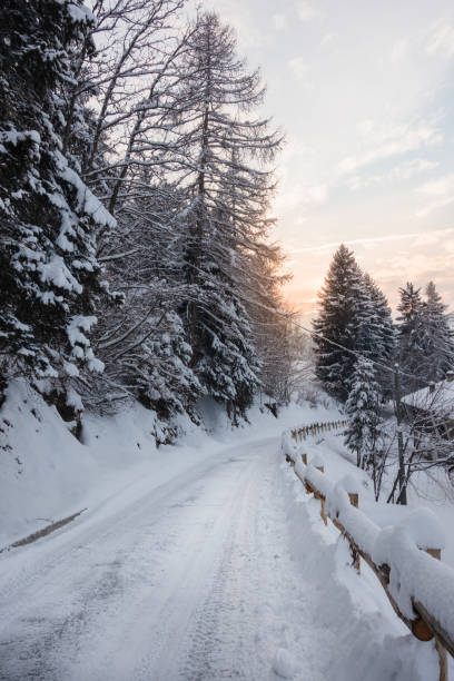 route recouverte de neige va au soleil - footpath european alps fence woods photos et images de collection