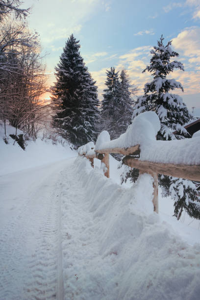 route recouverte de neige va au soleil - footpath european alps fence woods photos et images de collection