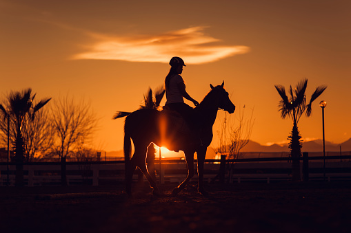 Silhouette equestrian rider with horse after sunset