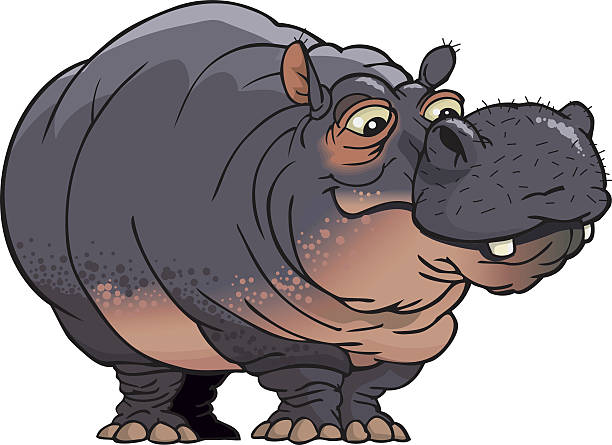 HIPPO vector art illustration