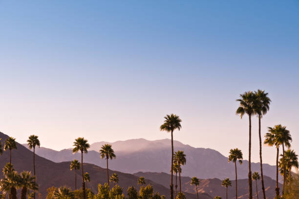 Palm Springs Scenic San Jacinto Mountain Landscape Palm Springs Scenic Mountain Landscape taken within Palm Springs city limit. coachella valley photos stock pictures, royalty-free photos & images