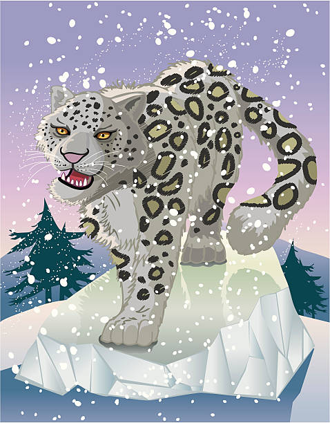 snow leopard vector art illustration