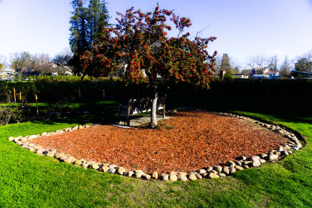 istock seat in rose garden 1091547384