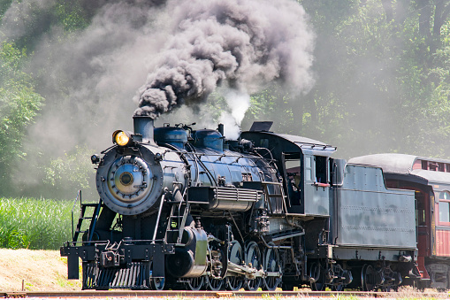 Steam Passenger Train Pulling into Picnic Area Blowing Smoke on a Sunny Summer Day
