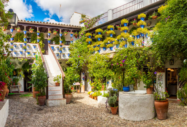 Beautiful patio with flowers in Cordoba, Spain stock photo