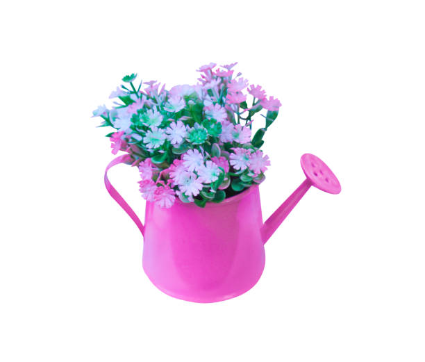 istock Decoration artificial muticolored flowers in pink watering can isolated on white background with clipping path 1091553876