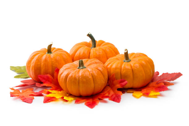 istock Fresh orange miniature pumpkins isolated 1091555848