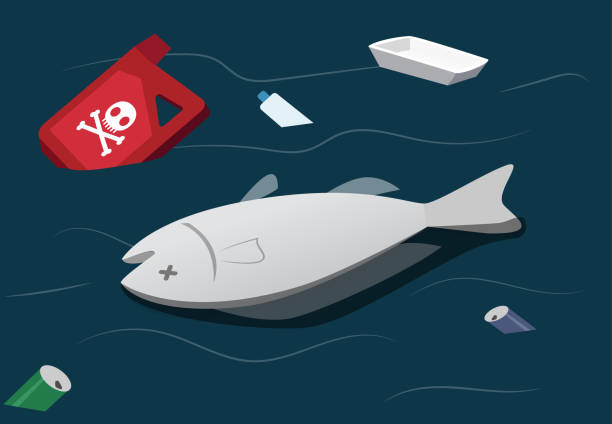 Water Pollution Make Dead Fish Vector Stock Illustration - Download Image Now - Dead, Fish, Death - iStock Water Pollution Make Dead Fish Vector Stock Illustration - Download Image Now - Dead, Fish, Death - iStock