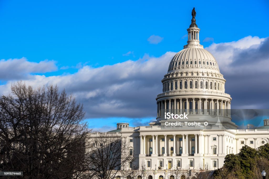Congreso de Estados Unidos - edificio del Capitolio en Capitol Hill en Washington DC, Estados Unidos en invierno - Foto de stock de Congreso libre de derechos