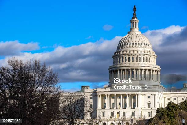 Congreso De Estados Unidos Edificio Del Capitolio En Capitol Hill En Washington Dc Estados Unidos En Invierno Foto de stock y más banco de imágenes de Congreso