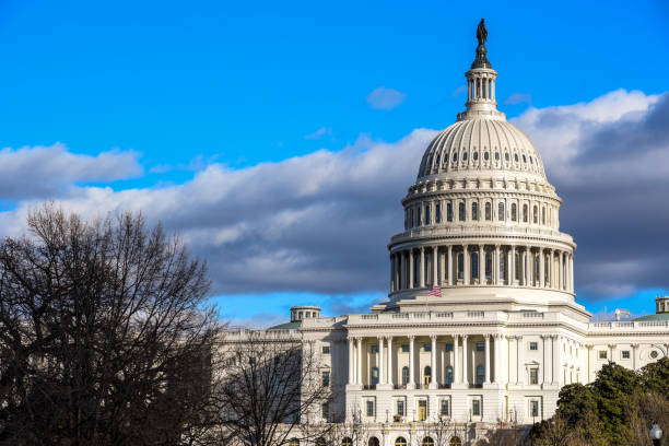 congresso dos eua - edifício do capitólio em capitol hill em washington dc, estados unidos no inverno - washington dc architecture nobody american flag - fotografias e filmes do acervo