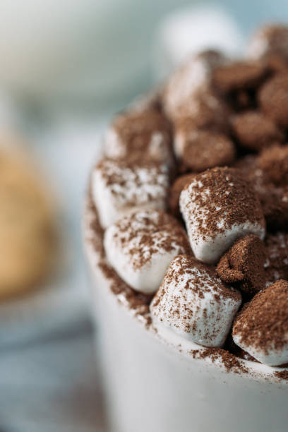 istock Close-up of Hot Chocolate with marshmallow 1091575800
