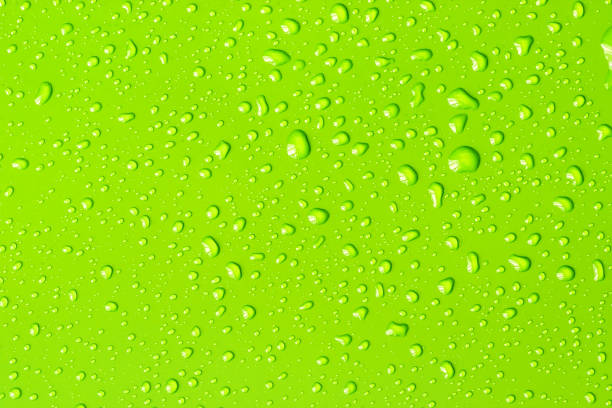 istock Abstract water drop on surface of a fresh green background 1091577836