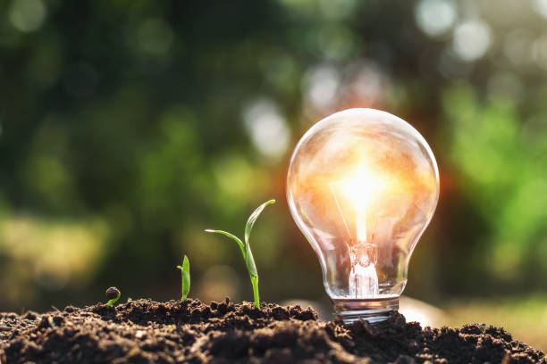 istock light bulb on soil and young plant growing. concept saving energy power 1091580474