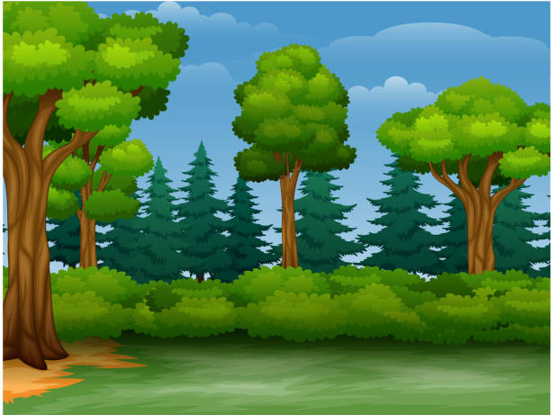 ilustrações de stock, clip art, desenhos animados e ícones de cartoon of trees view in a forest - 7583