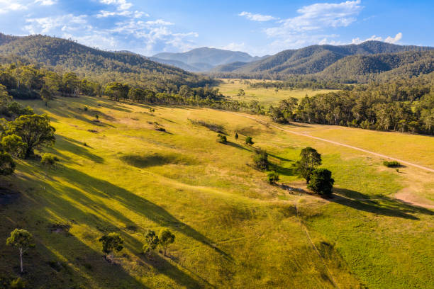 istock Wonnongatta, Victorian High Country 1091580686