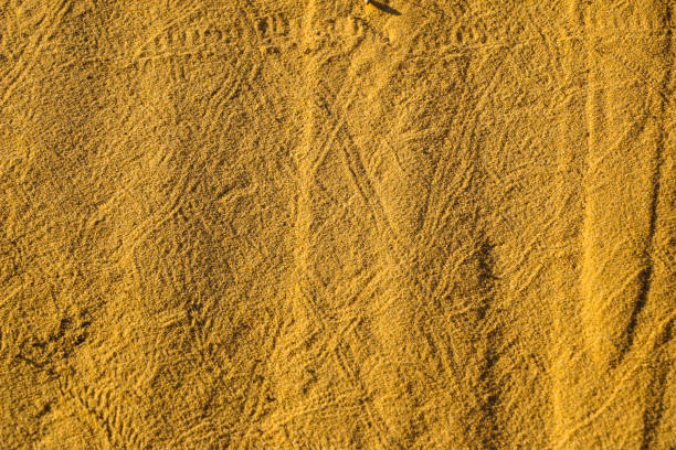 istock texture of  sand, from  sand career with different traces 1091592588