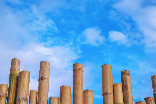 istock Bamboo fence patterns and vivid blue sky with clouds background 1091592820