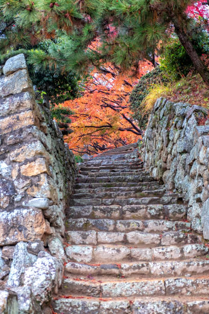 istock An old stone stairs with red and yellow colors tree 1091601488