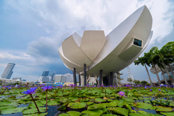 flores artscience museum de singapur y lotus en ciudad de centro de la ciudad de singapur en la zona de la bahía. financiero distrito y rascacielos edificios con cielo azul - artscience museum fotografías e imágenes de stock