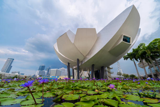 artscience музей сингапура и цветы лотоса в центре сингапура города в районе залива. финансовый район и небоскребы с голубым небом - artscience museum стоковые фото и изображения