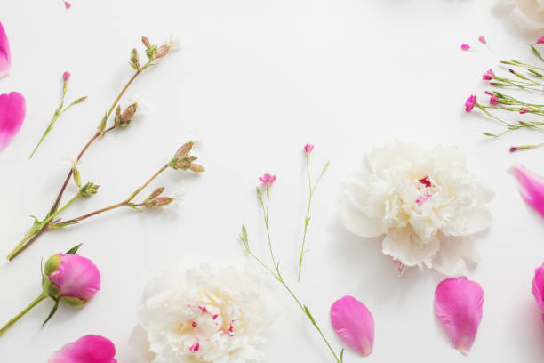 istock summer flowers on white paper background 1091613178