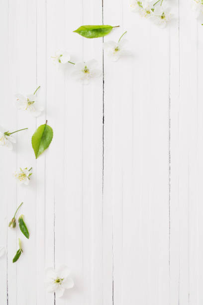 istock spring flowers on white wooden background 1091613242