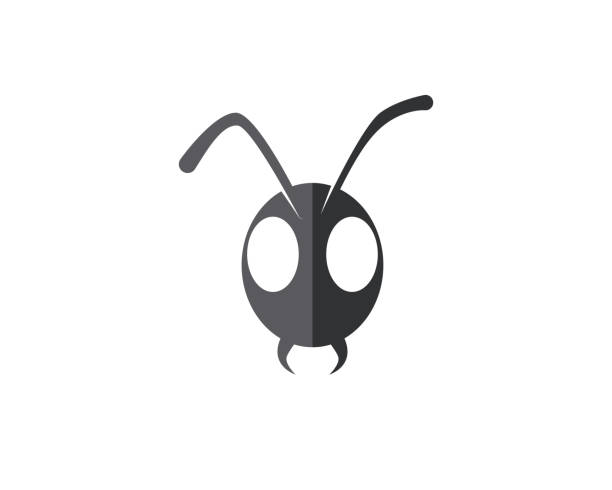 Ant Logo Template Vector Illustration Design Stock Illustration - Download  Image Now - Ant, Head, Vector - iStock