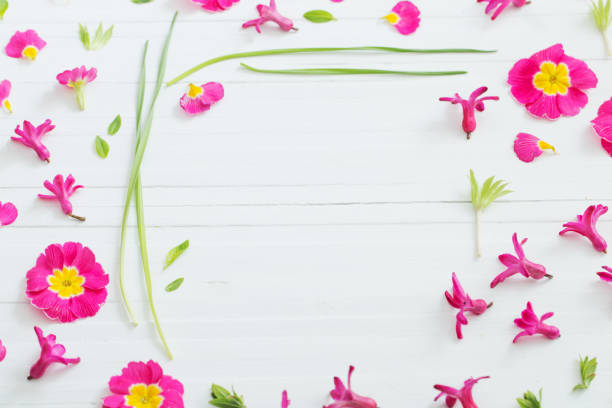 istock pink spring flowers on white wooden background 1091614410