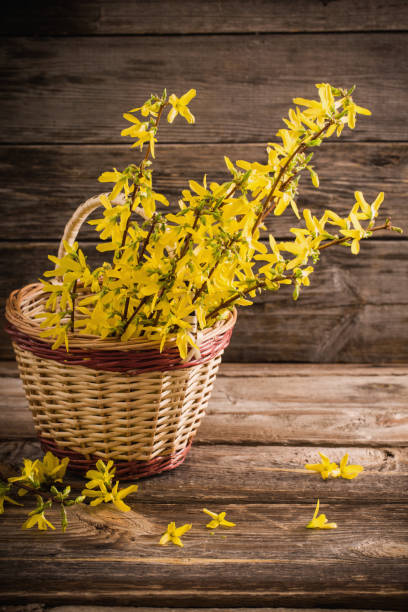 spring flowers in basket on old wooden background