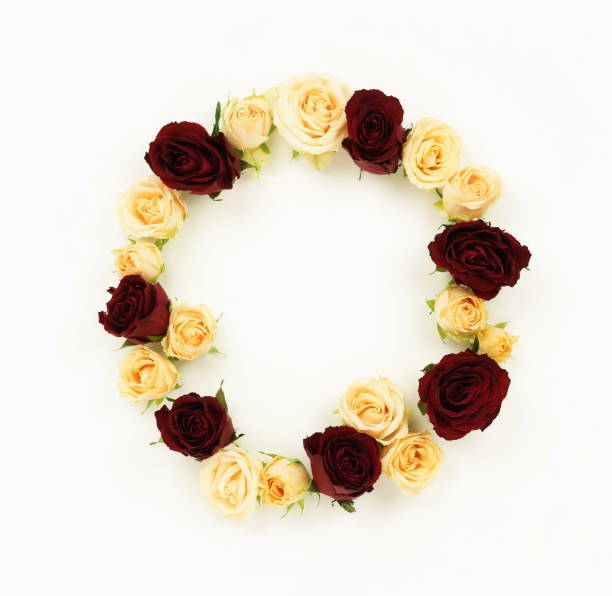 istock Flowers composition frame wreath from beige and red roses on white background. top view. copy space 1091615632