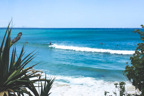 istock tropical beach and sea surfing surfer 1091617626