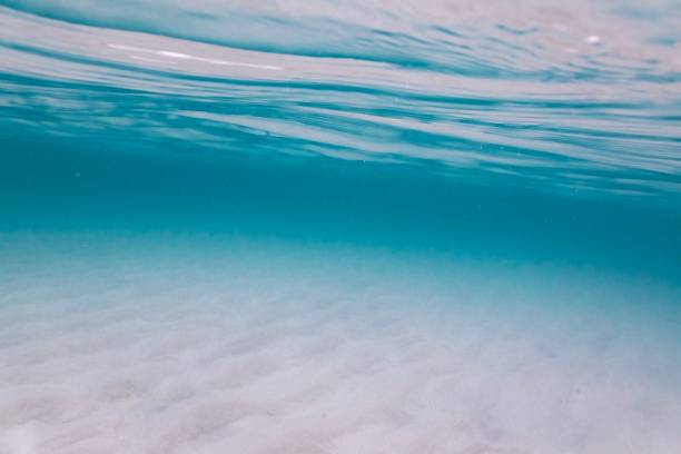 istock Sunlight on sandy sea floor and water surface 1091620044