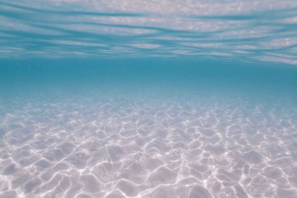 istock Sunlight on sandy sea floor and water surface 1091620562