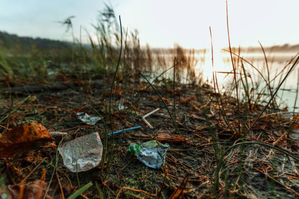 istock Garbage in the sea affecting marine lives Environmental problem concept World environment day 1091622666