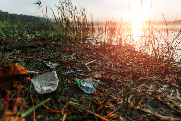 istock Garbage in the sea affecting marine lives Environmental problem concept World environment day 1091622694