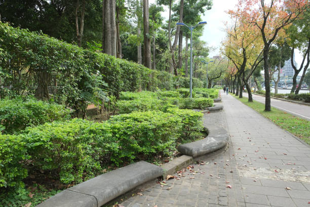 istock Trail in the park. Natural scenery in Asia. 1091623148