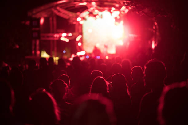 istock Music festival by night! 1091623214