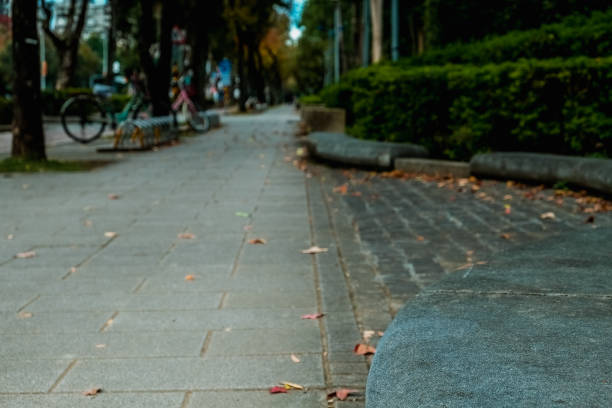 istock Trail in the park. Natural scenery in Asia. 1091623230