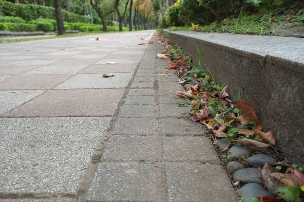 istock Trail in the park. Natural scenery in Asia. 1091623556