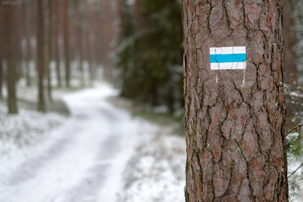 istock Bicycle trail covered with snow. The road is intended for bicycles. Winter scenery. 1091630838