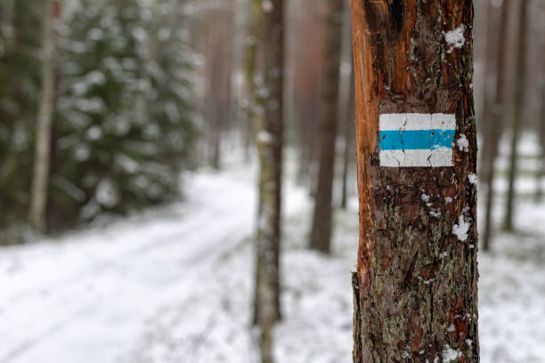 istock Bicycle trail covered with snow. The road is intended for bicycles. Winter scenery. 1091630890