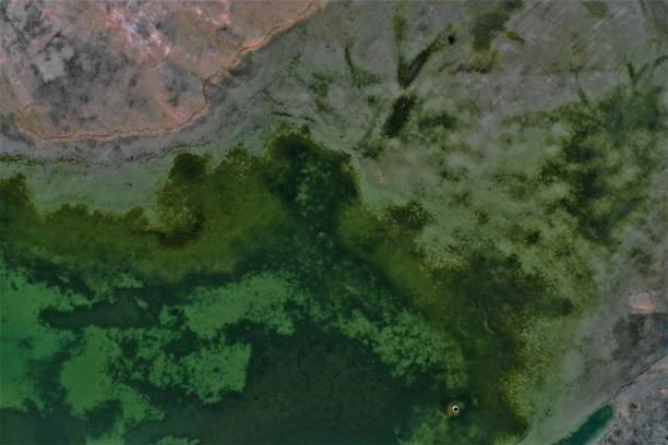 istock Bird Watching House from the air 1091640544