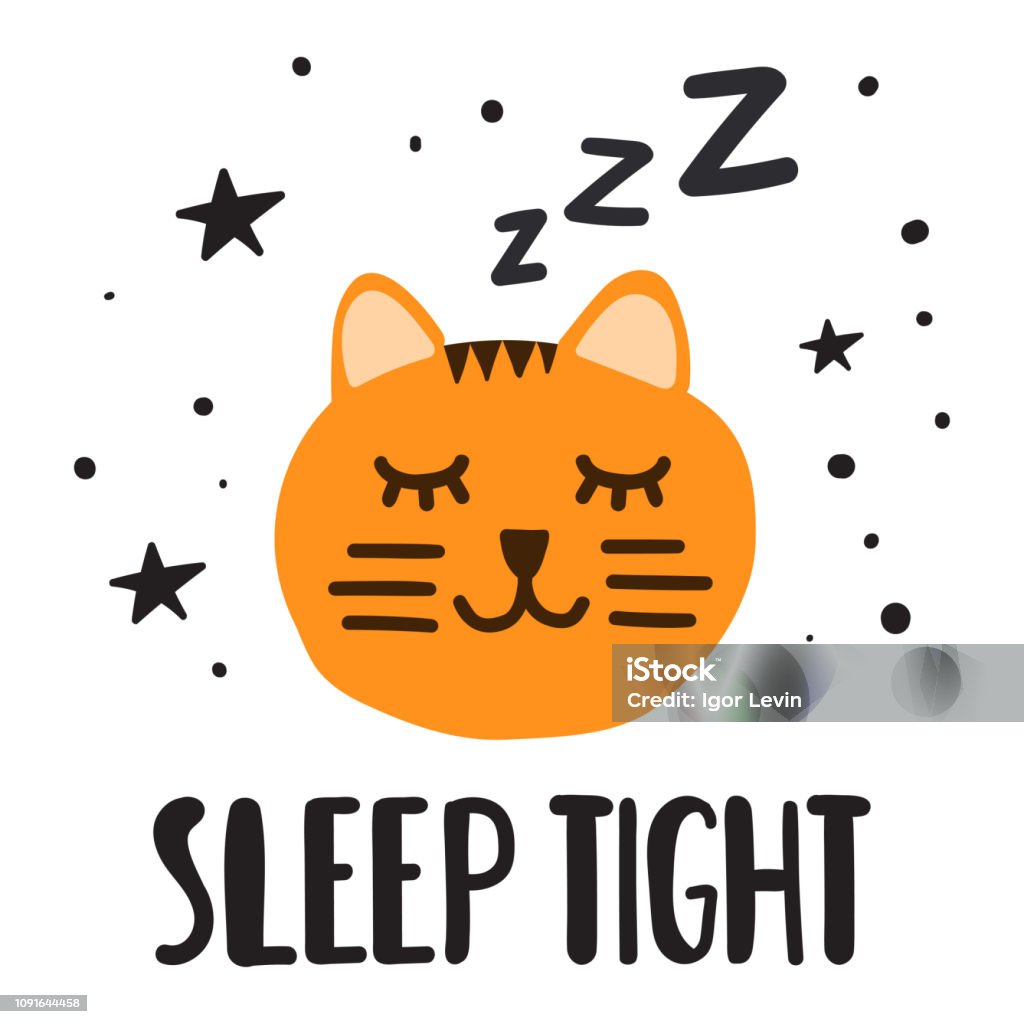 Sleeping cat, sleep tight. Vector illustration for greeting card, t shirt, print, stickers, posters design. Hand drawn icon with lettering. Napping stock vector